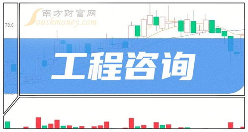 2024年版工程咨詢(xún)板塊上市公司名單 聚焦信息技術(shù)咨詢(xún)服務(wù)（截至2月19日）